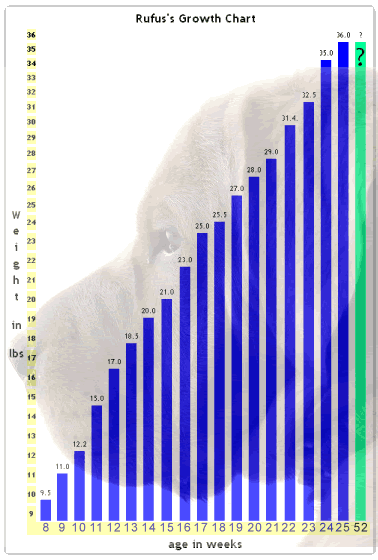 The Rufus 25 week growth chart