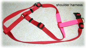 Rufus Cam Shoulder Harness